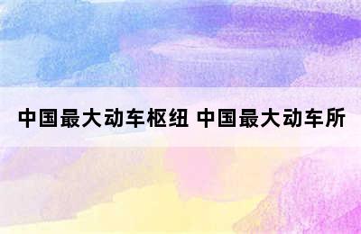 中国最大动车枢纽 中国最大动车所